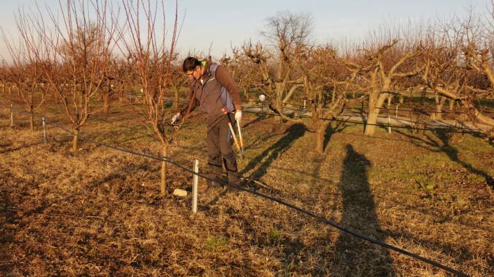 Mentenanta Spatii Verzi